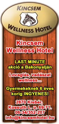 Kincsem Wellness Hotel