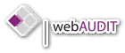webaudit