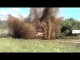 video_-_hungarian_baja_2014action