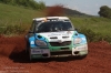 Salg - 2010