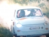 1991 balatonfldvr