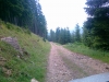 A harasebeni kvek