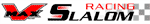 V-Max Slalom Racing