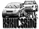 Nemzetkzi Rallycross Verseny