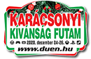 Karcsonyi Kvnsgfutam