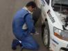 Elek Service