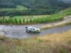 A zokd focus