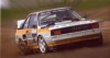 Rallycross szakg