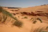 Sandlander Challenge