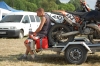 Zol334