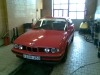 zoli524