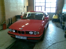 zoli524