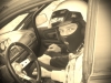 gonczizs