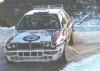 wunderbaum456
