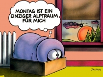 norbi17