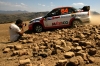 WRC Face to Face