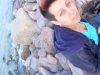 Timcy