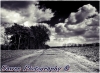 DaweePhotography