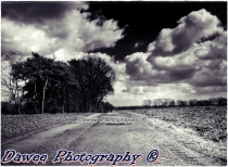 DaweePhotography