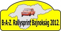 Bazrallypilot